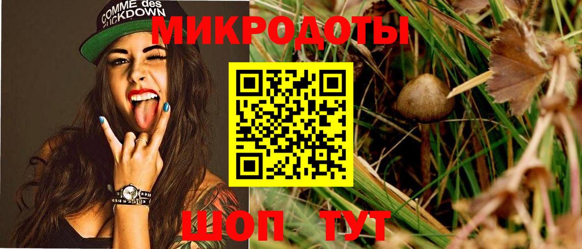 цены наркотик  Вход с VPN  Надым  Галлюциногенные грибы Cubensis 